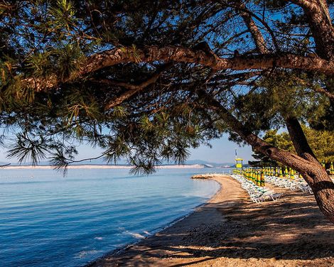 Hotel Vila Ružica-0