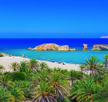 Ein Palmenstrand mit türkisfarbenem Wasser.