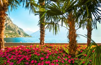 Garten vor Meer