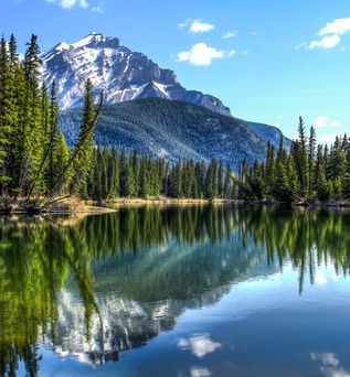 Blick auf den Bow River See in Kanada, welcher umgeben von Bäumen ist. Im Hintergrund ist ein großer felsiger Berg und ein grüner Hügel