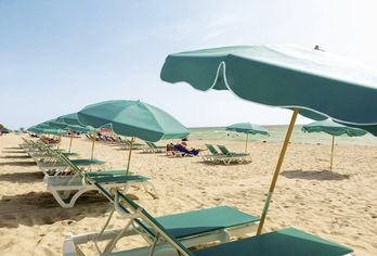 Hotel, Best Western Plus Atlantic Beach Resort