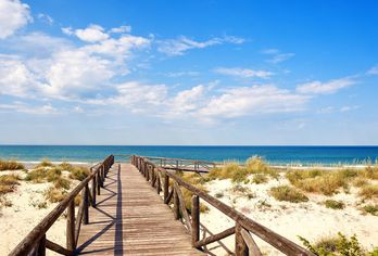 Hotel, Sol Sancti Petri Apartamentos