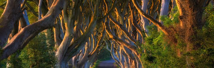 Filmschauplätze Irland