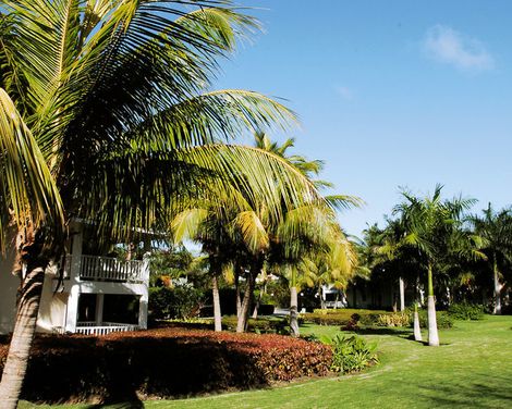 Playabachata Lifestyle Collection by Senator-4