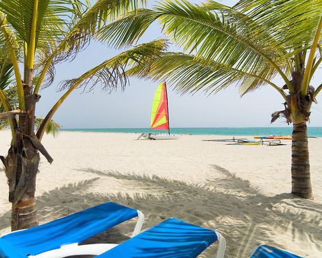 Viva Tangerine by Wyndham, A Trademark All Inclusive-3
