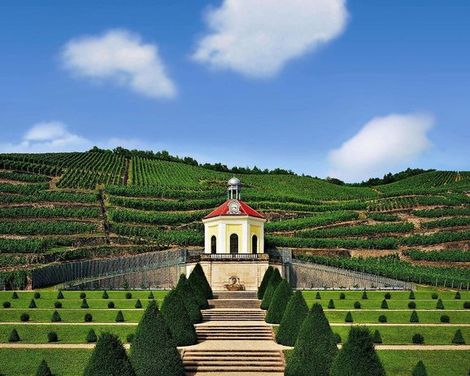 Best Western Macrander Hotel Dresden-2