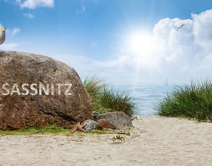 Strand von Sassnitz, im Sand steht ein Stein mit Aufschrift Sassnitz und auf dem Stein sitzt eine Möwe