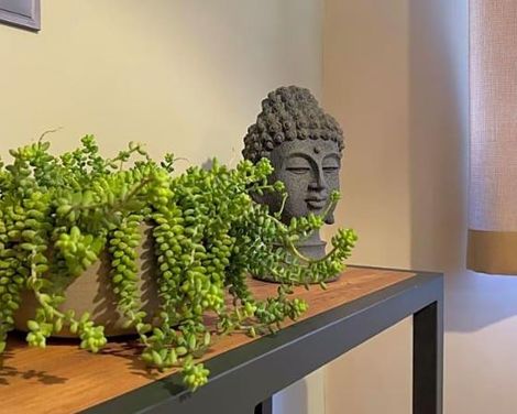 Kalia Beach Hotel Side-2