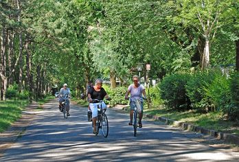 Hotel, Camping Sabbiadoro