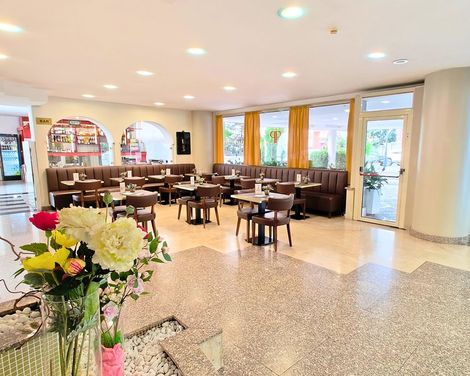 Pineta Palace-3