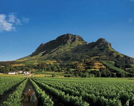 Winelands Südafrika