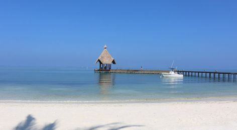 Canareef Resort Maldives