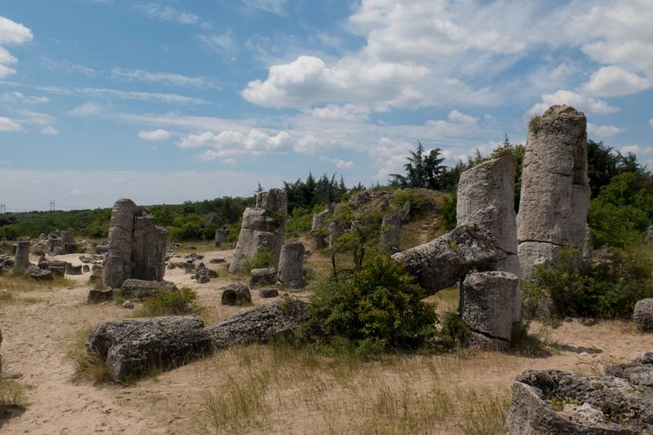 Blick auf ein Steinfeld im Gras.