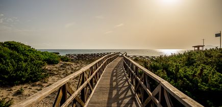 Hotels Playa de Muro
