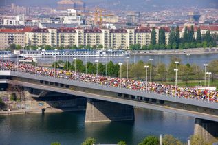 Bliecl über Wien. Auf der Brücke sieht man die Marathonläufer