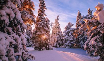Schneelandschaft in Lappland