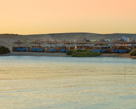 Cardina Resort Marsa Alam-4