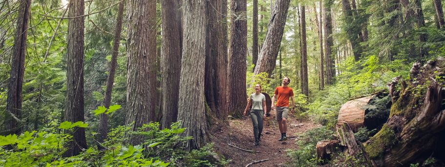 Wanderer im Wald bei Whistler