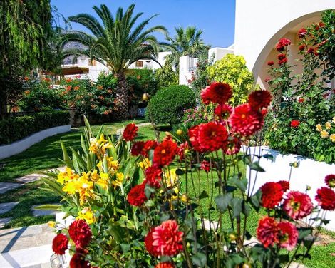 Papadakis Apartments-0