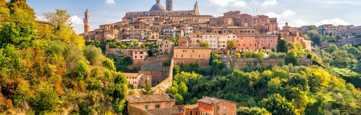 Blick auf Siena.