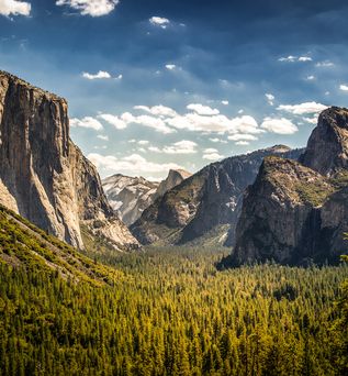 Yosemite National Park, Blick auf den Half Dome Felsen vom Tunnel View
