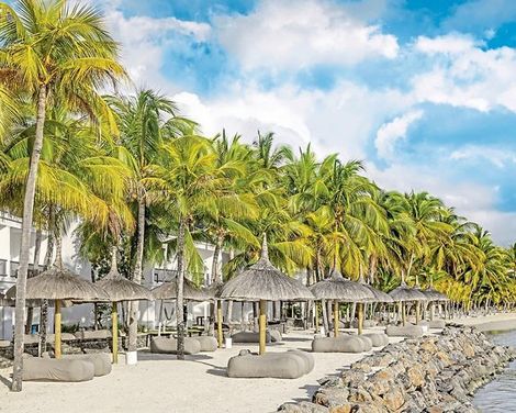 The Ravenala Attitude -0