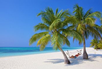 Hotel, Kuredu Resort & Spa