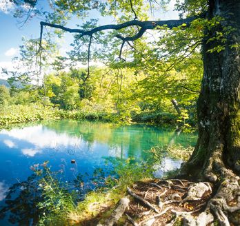 Ein Wasserfall in einer grünen Landschaft.
