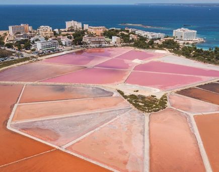 Saline in Colonia de Sant Jordi