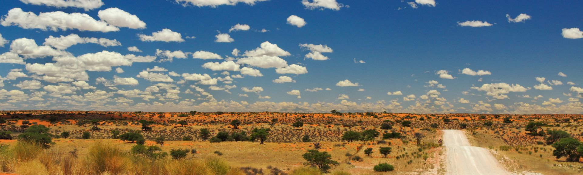 Eine lange, gerade Straße erstreckt sich durch die weite und karge Kalahari-Wüste im Kgalagadi Transfrontier Park, umgeben von trockenem Gras und einem weiten, blauen Himmel.