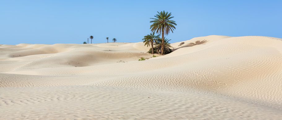 Tunesien Sanddünen