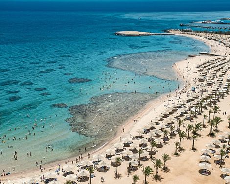 Calimera Blend Paradise-3