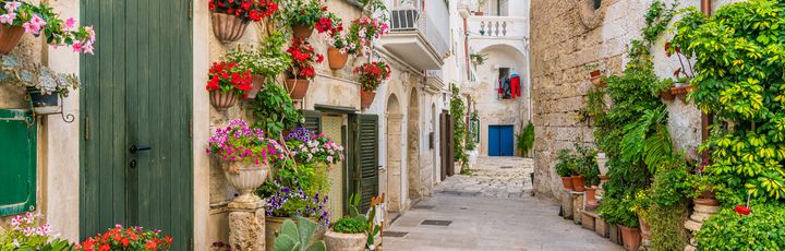 Blick auf eine kleine Gasse mit grünen Pflanzen und Blüten.