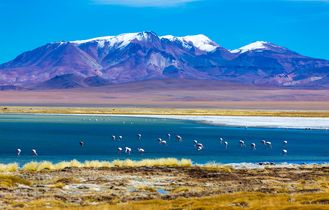 Südamerika - Atacama Wüste mit Flamingos 