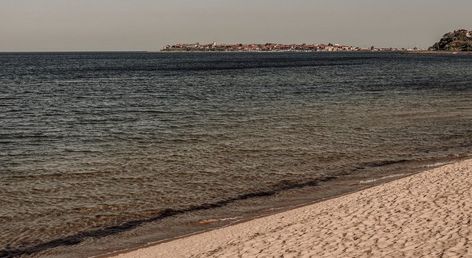 Sunny Beach Club