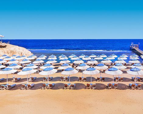 JAZ Neo Reef Marsa-0