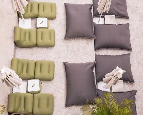 Coral Cotillo Reef-4