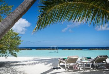 Hotel, Niva Kurumba Maldives