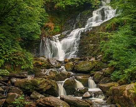 Ein Wasserfall, der in einen Fluss fällt, umgeben von grüner Vegetation.