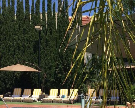 Hollywood Hotel-2