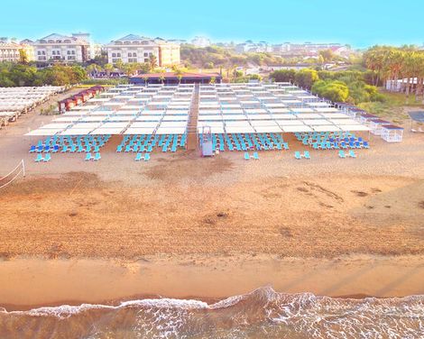 Dream World Palace-0