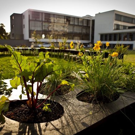 Bauhaus Dessau