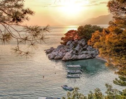 Eine felsige Küstenlandschaft mit Bäumen bei Sonnenuntergang.