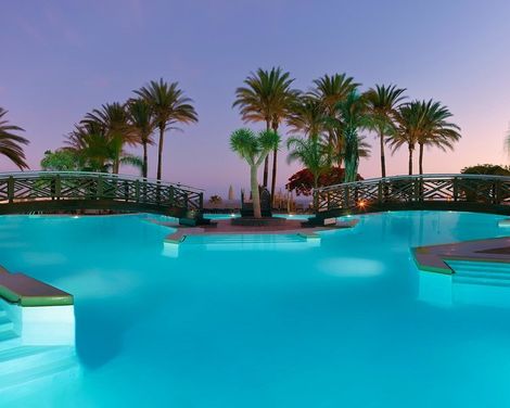 Meliá Jardines Del Teide-4