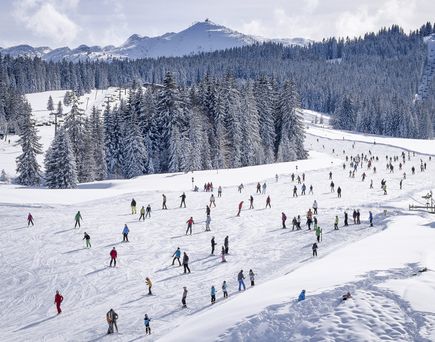Viel Platz für Anfänger auf der Winklmoosalm, im Hintergrund die Steinplatte 
