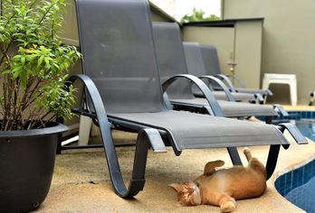 Hotel, Noble Guest House