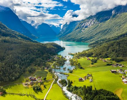 Vogelperspektive auf ein Fjord mit grüner Natur