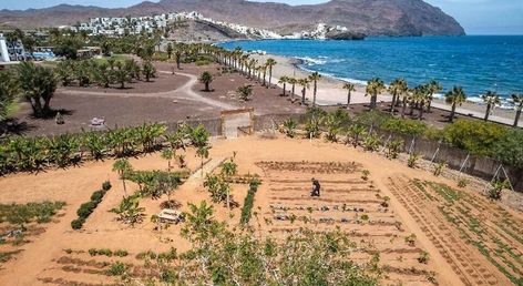 Playitas Hotel