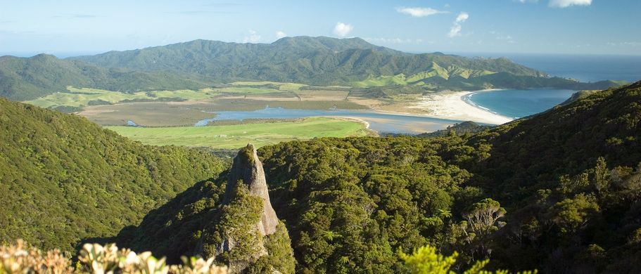 Camper Neuseeland Urlaub Reisen Landschaft am Windy Canyon Track in Auckland