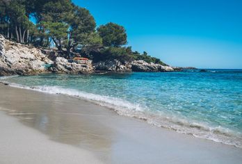 Iberostar Waves Pinos Park